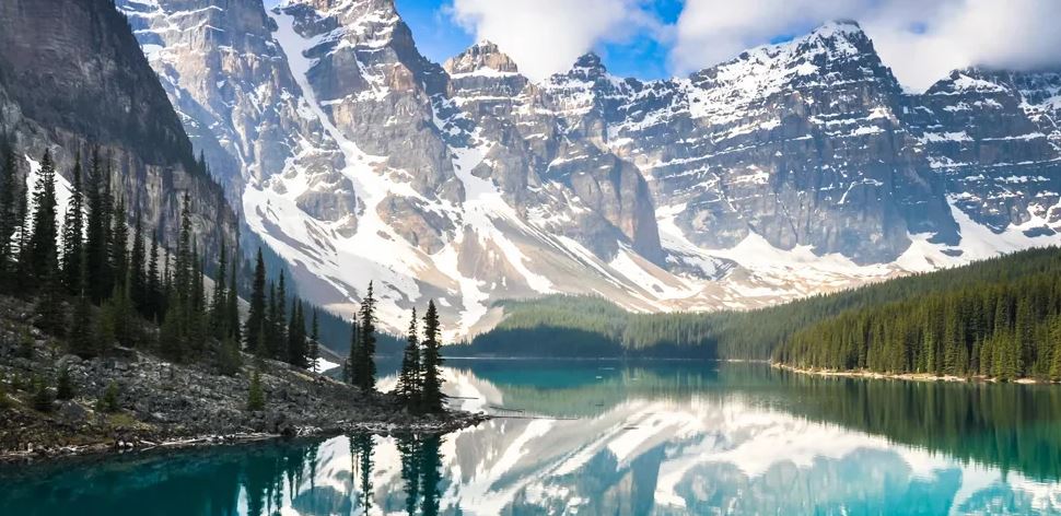 Go Abroad Migration country